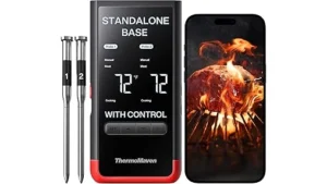 The image shows a sleek wireless meat thermometer inserted into a grilled steak, highlighting a top pick.